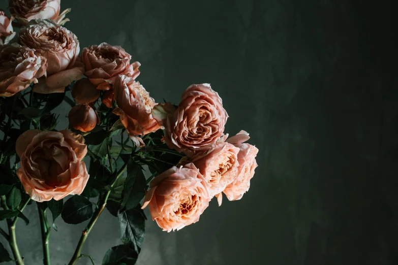 a close up of a bunch of flowers in a vase, a still life, inspired by Elsa Bleda, trending on pexels, romanticism, crown of mechanical peach roses, on a gray background, in shades of peach, dark and dim