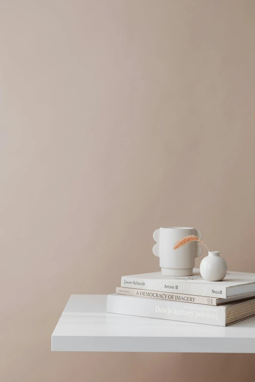 a stack of books sitting on top of a white table, a minimalist painting, with a white mug, in shades of peach, dramatic product shot, clay render