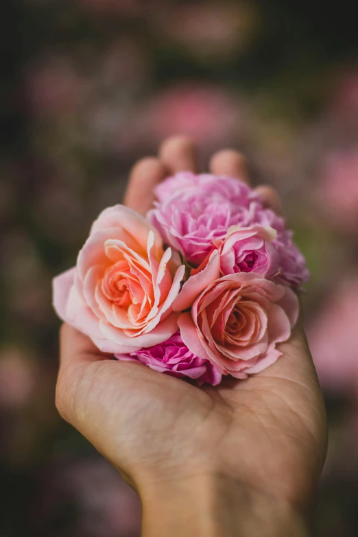 a person holding a bunch of flowers in their hand, by Elsie Few, unsplash, crown of mechanical peach roses, pinks, paul barson, low detail