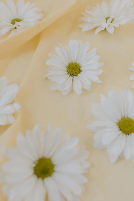 a bunch of white flowers sitting on top of a table, yellow theme, textile, zoomed out to show entire image, detailed product shot