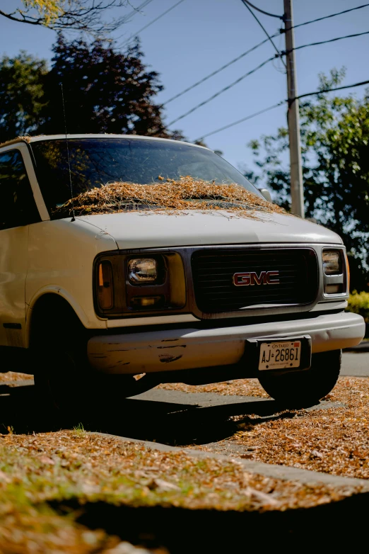 a van is parked on the side of the road, by Carey Morris, unsplash, auto-destructive art, dried leaves, bay area, profile image, the fall of summer