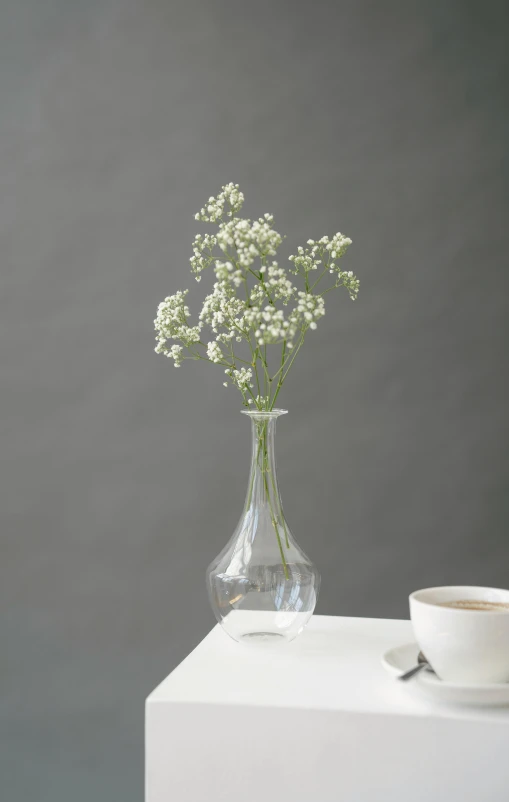 a vase filled with white flowers next to a cup of coffee, inspired by Hedda Sterne, minimalism, glass bottle, gypsophila, fully visible, product display photograph