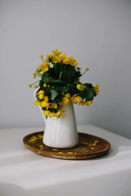 a white vase filled with yellow flowers on top of a table, a still life, unsplash, clover, portrait n - 9, ivy, studio product shot