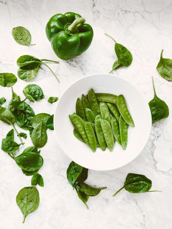 a white bowl filled with green vegetables on top of a table, by Nicolette Macnamara, unsplash, basil leaves instead of leaves, pepper, 🎀 🧟 🍓 🧚, battered