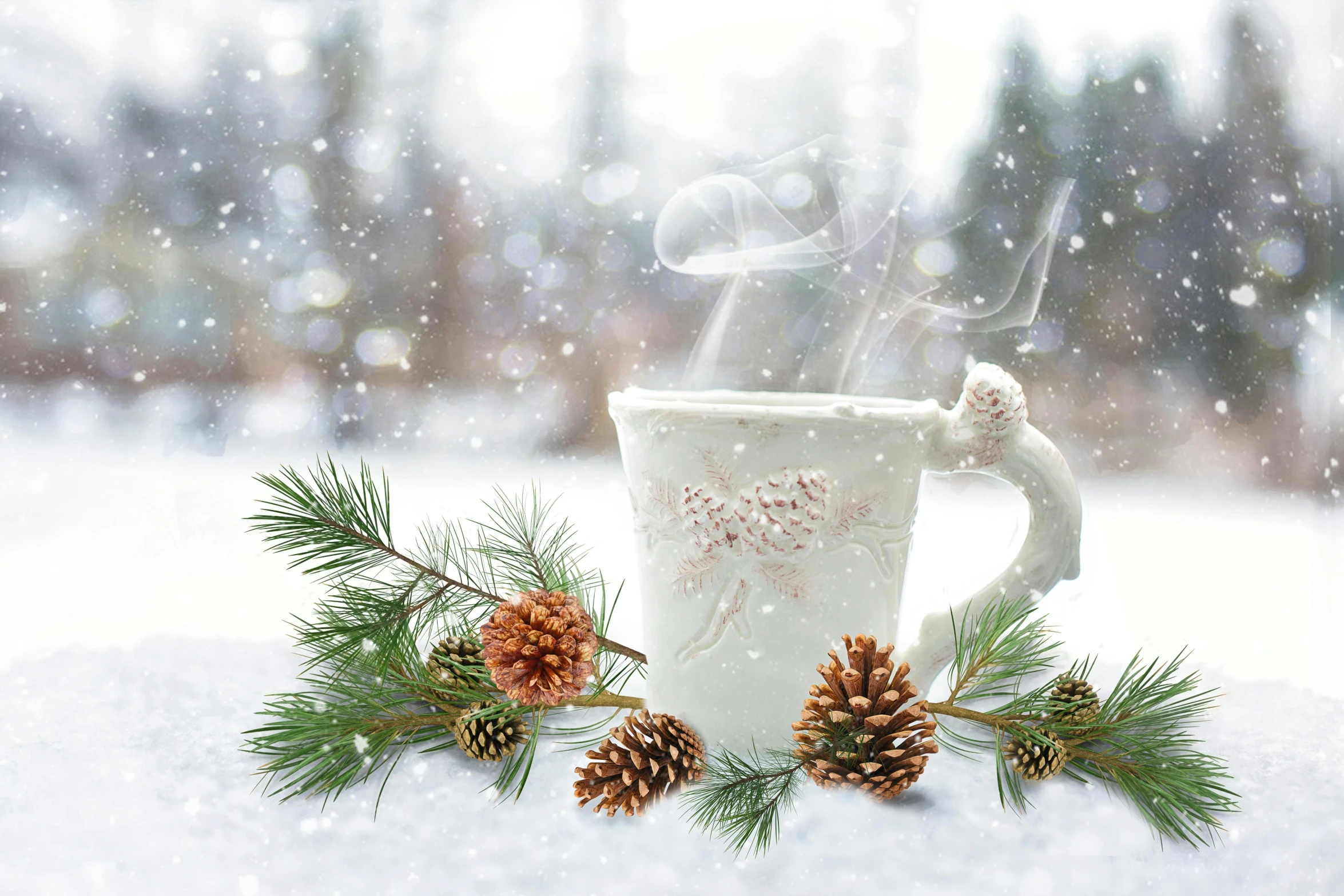 a cup of coffee sitting on top of a snow covered ground, pinecone, avatar image, evergreen branches, decorations