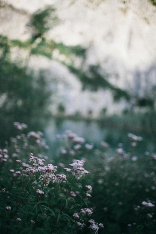 a red fire hydrant sitting on top of a lush green field, inspired by Elsa Bleda, unsplash contest winner, pink flowers, in a misty pond, pale muted pastel moody colors, lake in the forest