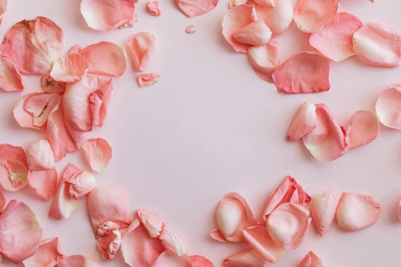 a heart made out of rose petals on a white surface, an album cover, by Carey Morris, trending on pexels, pink background, background image, crown of mechanical peach roses, skincare