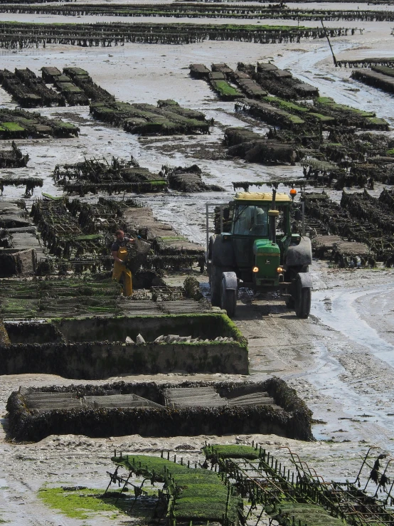 a tractor that is sitting in the mud, sea weed, in rows, very complex, oysters