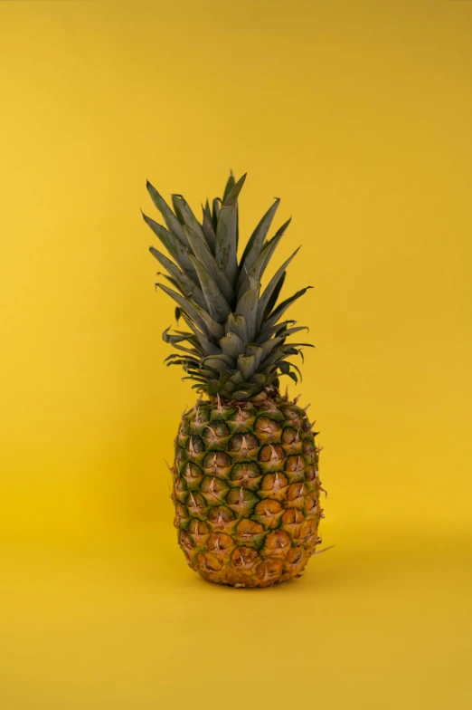 a pineapple on a yellow background, an album cover, unsplash, hyperrealism, highly upvoted, 2019 trending photo, frontal pose, low iso