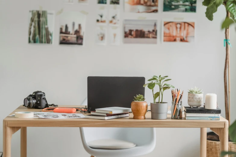 a laptop computer sitting on top of a wooden desk, a picture, trending on pexels, white wall coloured workshop, 9 9 designs, plant photography, sitting behind desk