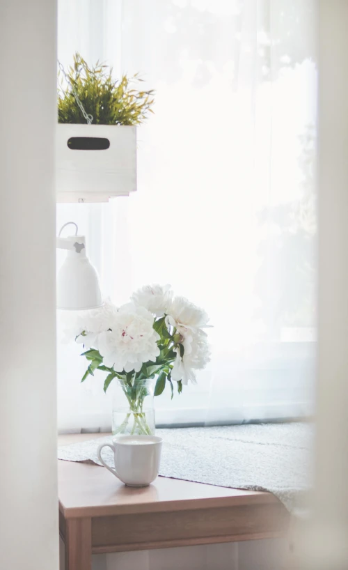 a vase of flowers sitting on a table next to a window, pexels contest winner, light and space, white mist, profile image, white kitchen table, view from inside