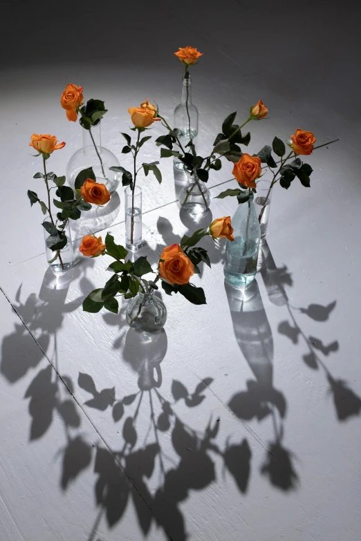a group of vases filled with orange roses, inspired by Anna Füssli, drop shadows, with clear glass, environmental shot