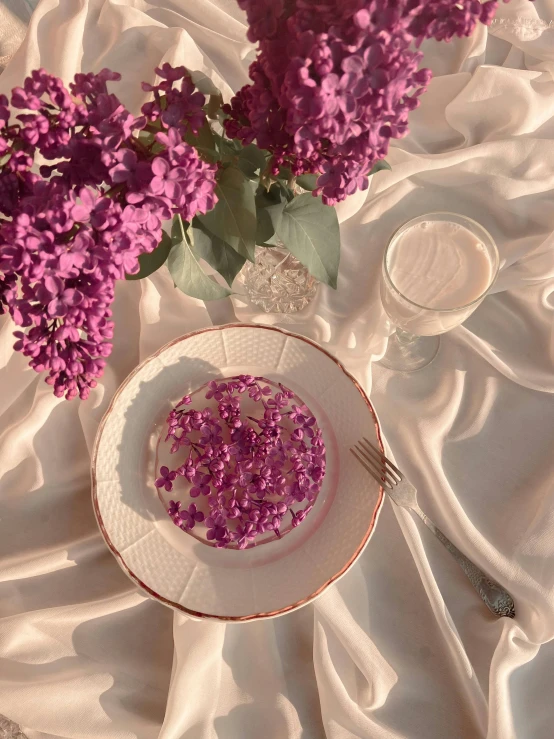 a close up of a plate of food on a table, a picture, by Anna Haifisch, trending on unsplash, magic realism, violet flowers, pearlescent skin, 🎀 🧟 🍓 🧚, diaphanous translucent cloth