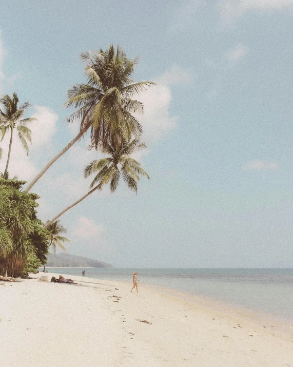 a couple of palm trees sitting on top of a sandy beach, a photo, by Rachel Reckitt, trending on unsplash, sumatraism, instagram story, white sarong, in pastel shades, people in beach