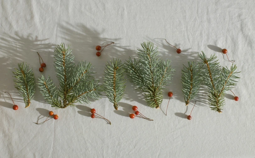 a group of pine branches and berries on a table, unsplash, assemblage, grey orange, group of seven, 3 mm, viridian and venetian red