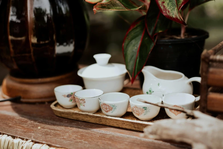 a table topped with cups and saucers next to a potted plant, inspired by Cui Bai, trending on unsplash, cloisonnism, paradise garden massage, on a wooden tray, white hanfu, thumbnail