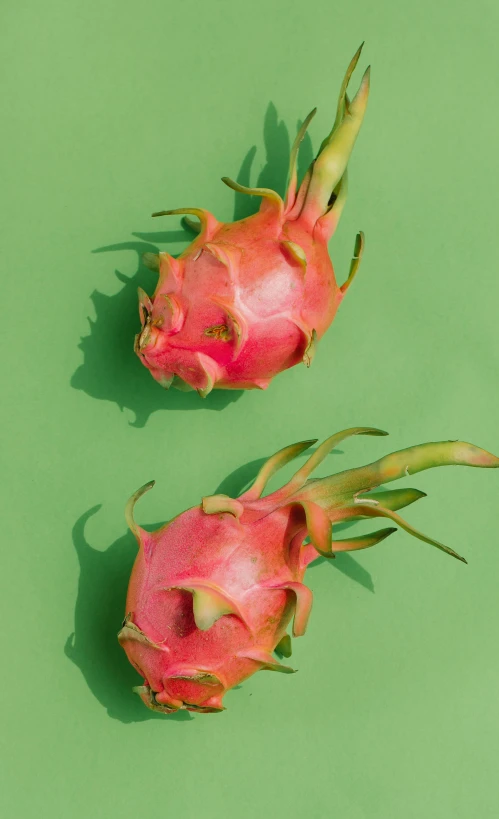 two dragon fruit sitting on top of a green surface, a digital rendering, trending on pexels, top-down shot, portrait shot, 15081959 21121991 01012000 4k, medium - shot