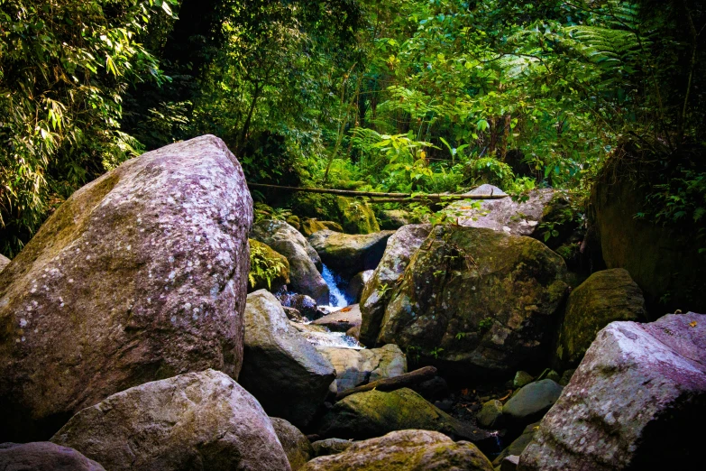 a stream running through a lush green forest, by Elizabeth Durack, unsplash, sumatraism, tall big rocks, colors of jamaica, thumbnail, rock art