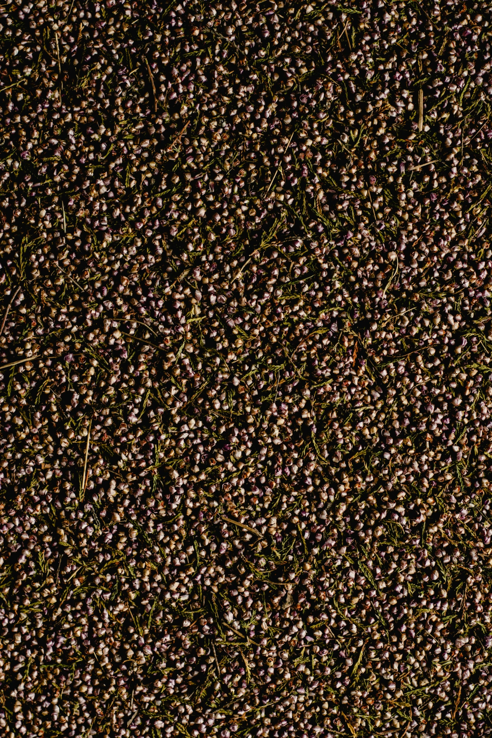 a person riding a surfboard on top of a lush green field, by Andreas Gursky, “berries, intricate hyperdetail macrophoto, violet ants, seamless texture