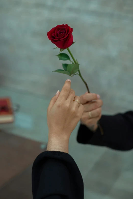 a man giving a red rose to a woman, by Maryam Hashemi, pexels contest winner, ap news photograph, funeral, ariel perez, on display