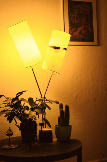 a lamp sitting on top of a table next to a potted plant, by Hirosada II, melanchonic soft light, apartment of an art student, ambient lighting!, brightly lit!