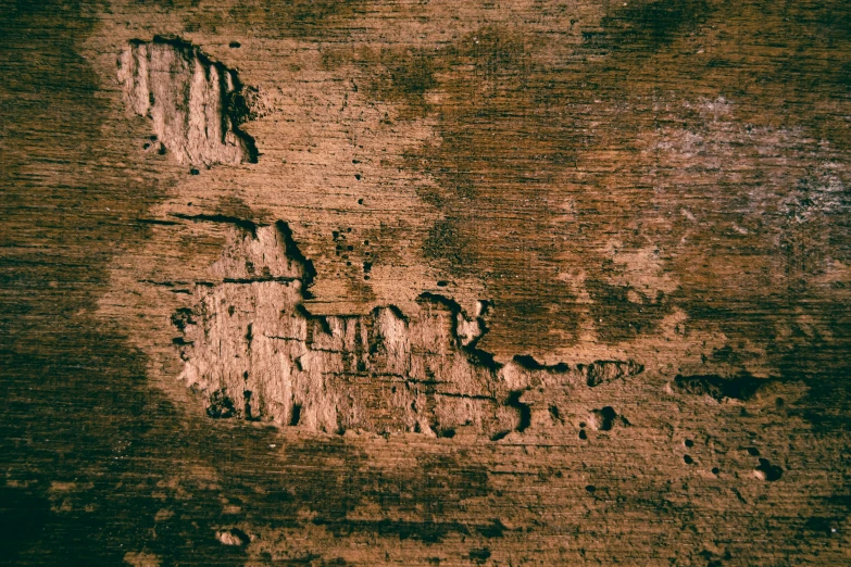 a piece of wood with peeling paint on it, an album cover, by Bernard Meninsky, pexels, renaissance, background image, grainy, crumbling, floor texture