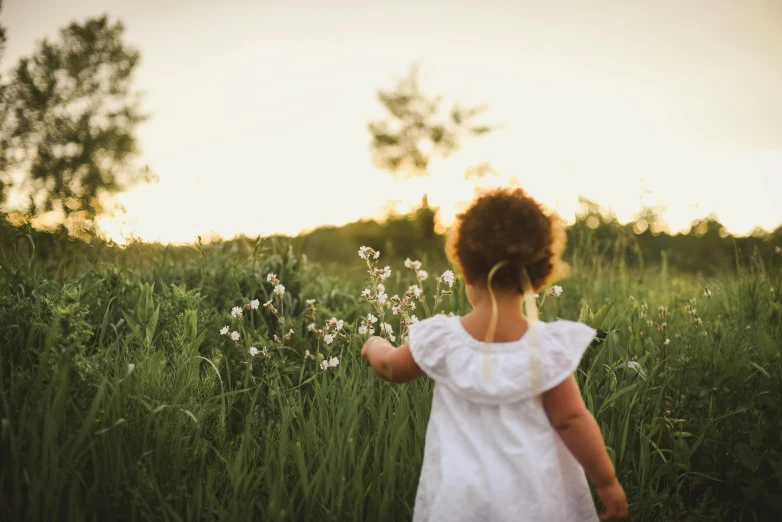 a little girl standing in a field of tall grass, by Lucia Peka, pexels contest winner, flowers around, back lit, toddler, 15081959 21121991 01012000 4k