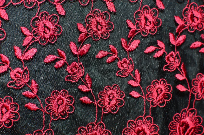 a close up of a black dress with red flowers, an album cover, inspired by Master of the Embroidered Foliage, flickr, red lace, istockphoto, red-fabric, high quality material bssrdf