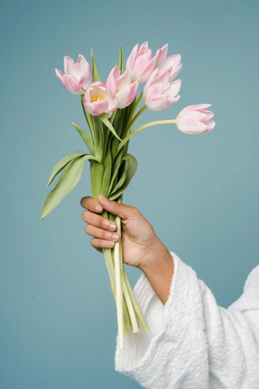 a woman in a bathrobe holding a bunch of pink tulips, inspired by François Boquet, unsplash, relaxed. blue background, hands reaching for her, low detail, subtle details