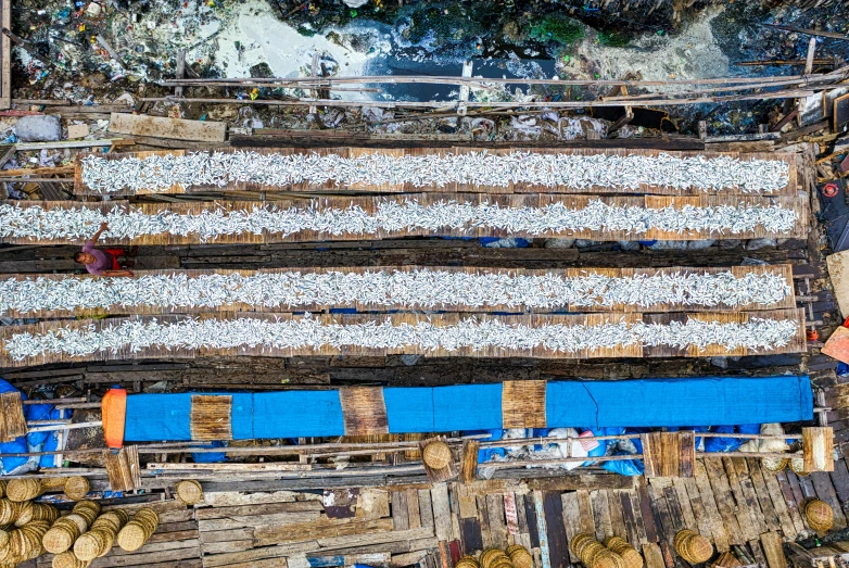 a bunch of logs stacked on top of each other, inspired by Andreas Gursky, unsplash, fish seafood markets, aerial shot from the drone, sichuan, sony world photography awards