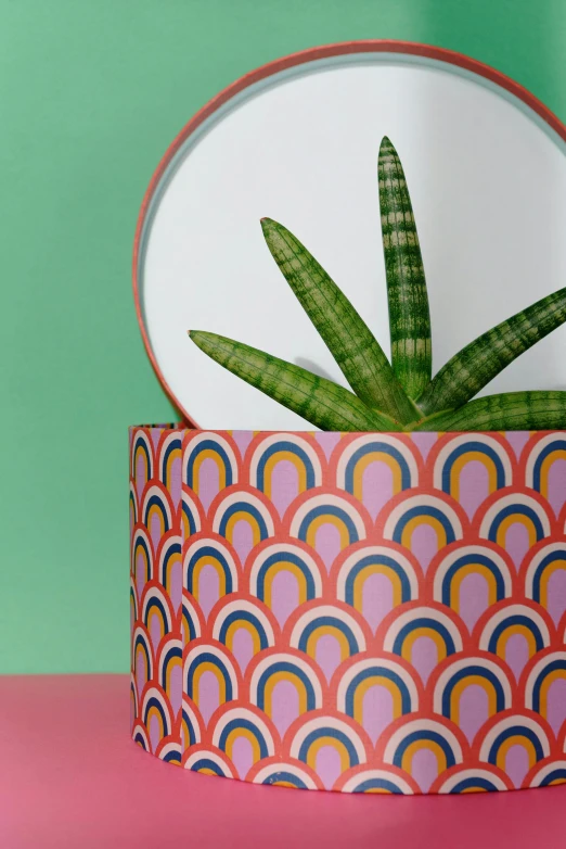 a potted plant sitting on top of a pink table, inspired by Eden Box, op art, iridescent scales, zoomed in, detailed product image, detail shot