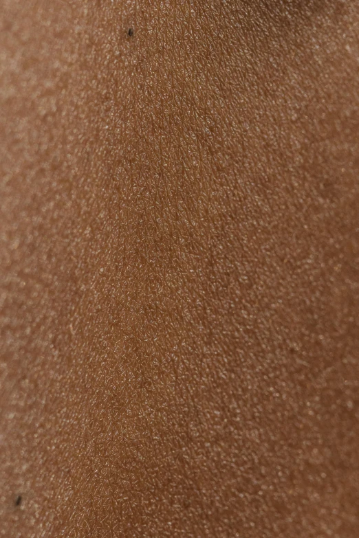 a close up of the skin of a horse, an album cover, inspired by Nyuju Stumpy Brown, reddit, tonalism, cinnamon #b57e59 skin color, tights skin, synthetic bio skin, pearlescent skin