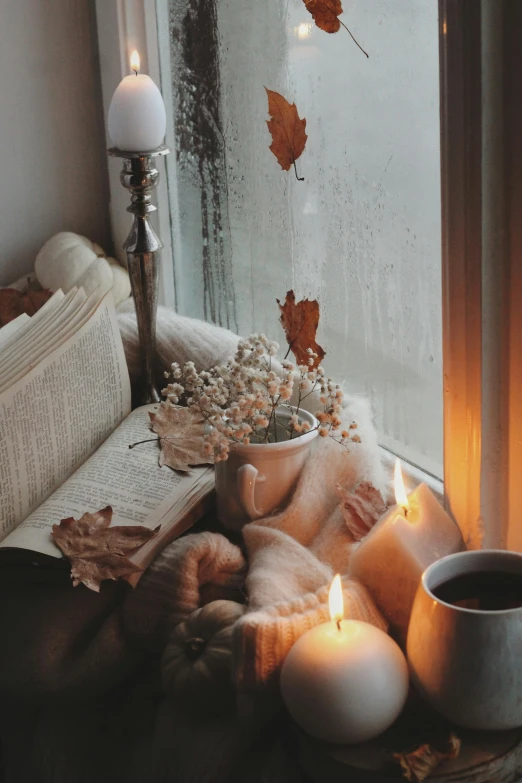a cup of coffee sitting on top of a window sill, a picture, inspired by Elsa Bleda, trending on pexels, romanticism, seasons!! : 🌸 ☀ 🍂 ❄, lit with candles, muted fall colors, curled up on a book