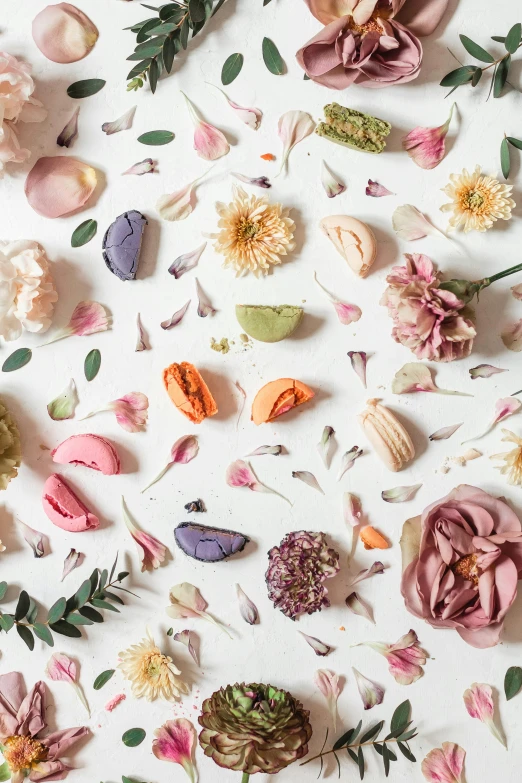 a white table topped with lots of different types of flowers, trending on unsplash, baroque, dried petals, macaron, design on a white background, pastry