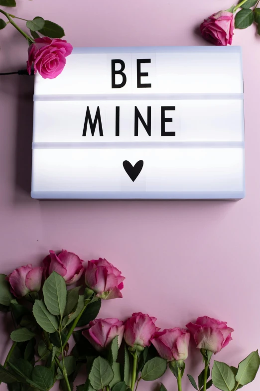 a sign that says be mine next to some pink roses, poster art, trending on pexels, led light strips, demur, light box, 256435456k film