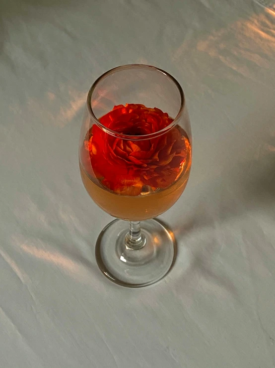 a glass of wine with a rose in it, by Jan Rustem, unsplash, renaissance, jelly - like texture. photograph, taken on iphone 14 pro, a blond, ignant