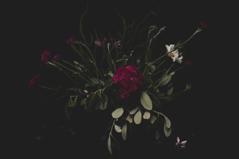 a vase filled with lots of flowers on top of a table, an album cover, by Emma Andijewska, unsplash contest winner, dark red and black color palette, carnation, herbs and flowers, moonless night