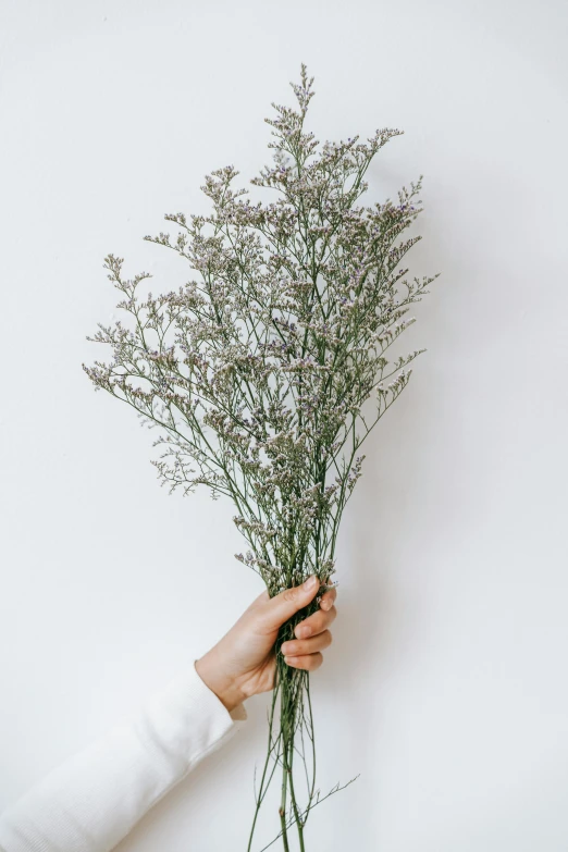 a person holding a bunch of flowers in their hand, light grey, large tall, seeds, lightweight