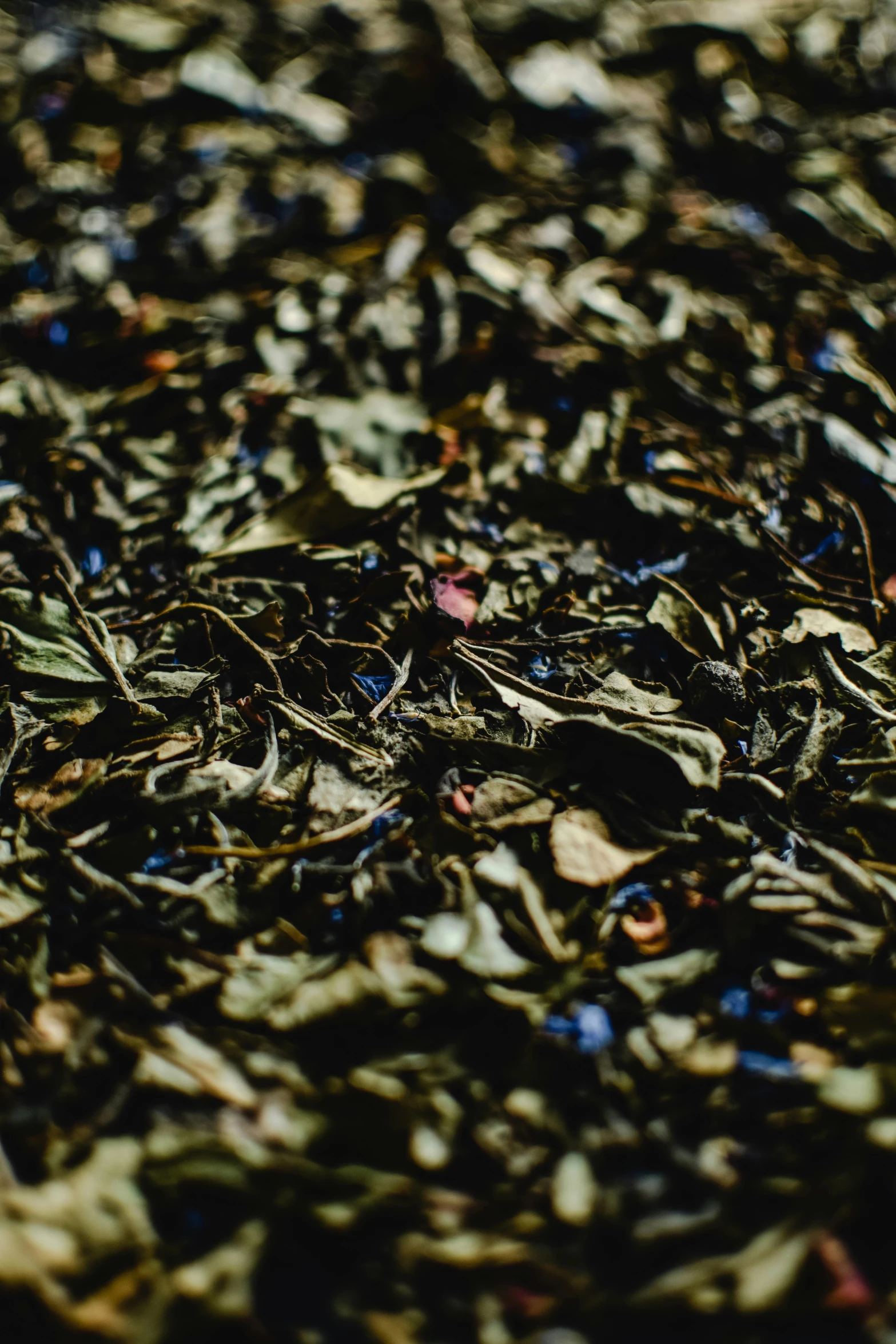 a pile of green tea sitting on top of a table, an album cover, by Jacob Toorenvliet, pexels, process art, dark green leaves, medium close up shot, multicoloured, panorama