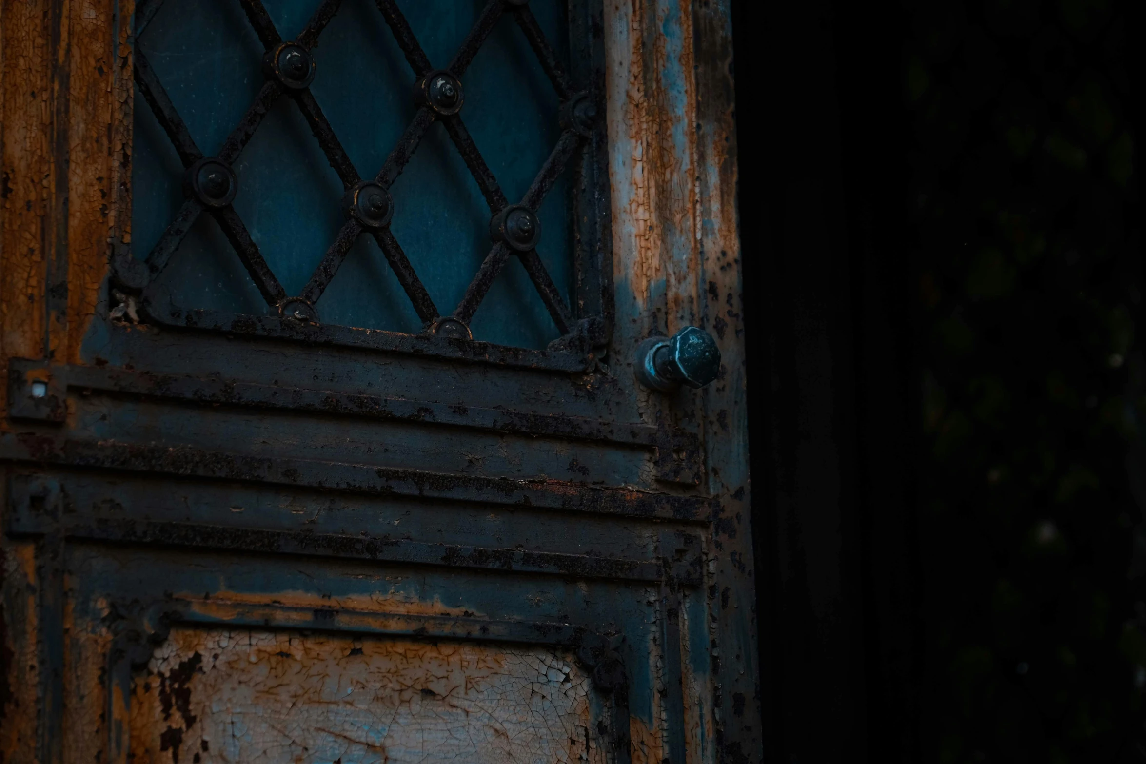 a cat that is sitting in front of a door, by Kristian Zahrtmann, pexels contest winner, conceptual art, iron gate door texture, burnt umber and blue, during the night, detailed abstract