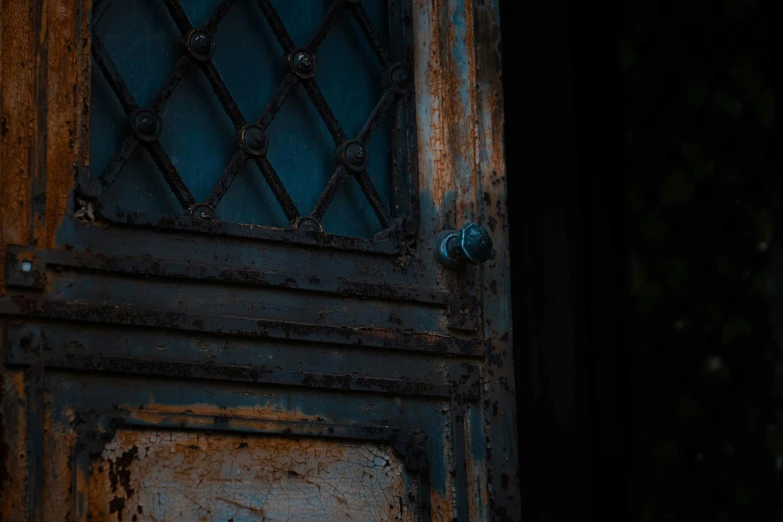 a cat that is sitting in front of a door, by Kristian Zahrtmann, pexels contest winner, conceptual art, iron gate door texture, burnt umber and blue, during the night, detailed abstract