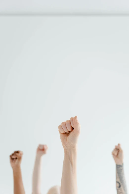 a group of people raising their hands in the air, clenched fist, on a pale background, profile image, promo image