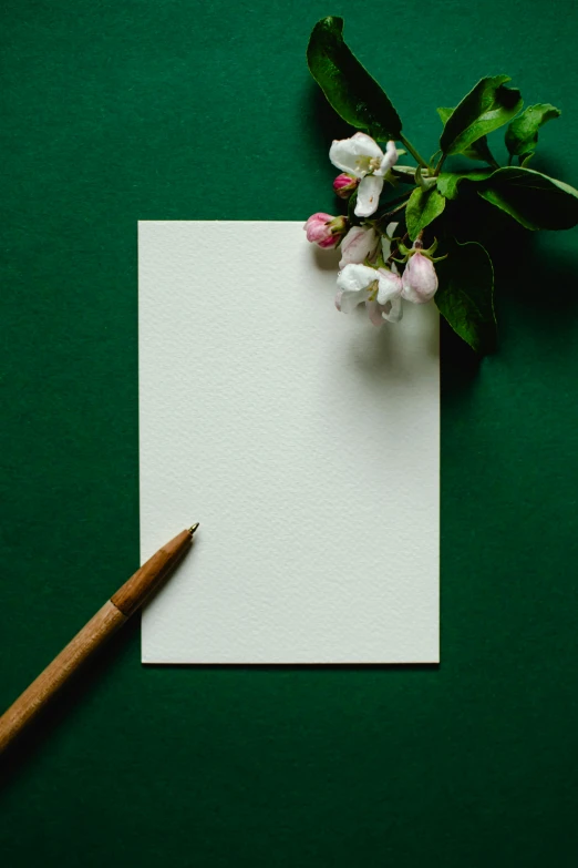 a piece of paper and a pencil on a green background, by Carey Morris, pexels contest winner, romanticism, card template, magnolia, 15081959 21121991 01012000 4k, white table