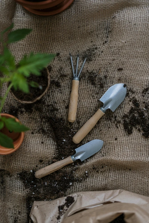 a couple of gardening tools sitting on top of a table