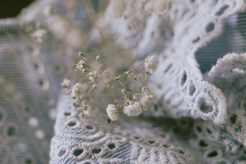 a close up of a piece of lace, inspired by Elsa Bleda, unsplash, gypsophila, clothes made out of flower, cottagecore, shot on hasselblad