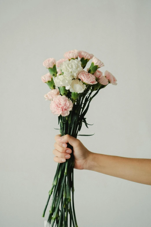 a person holding a bunch of pink and white flowers, carnation, slightly minimal, carefully crafted, tall