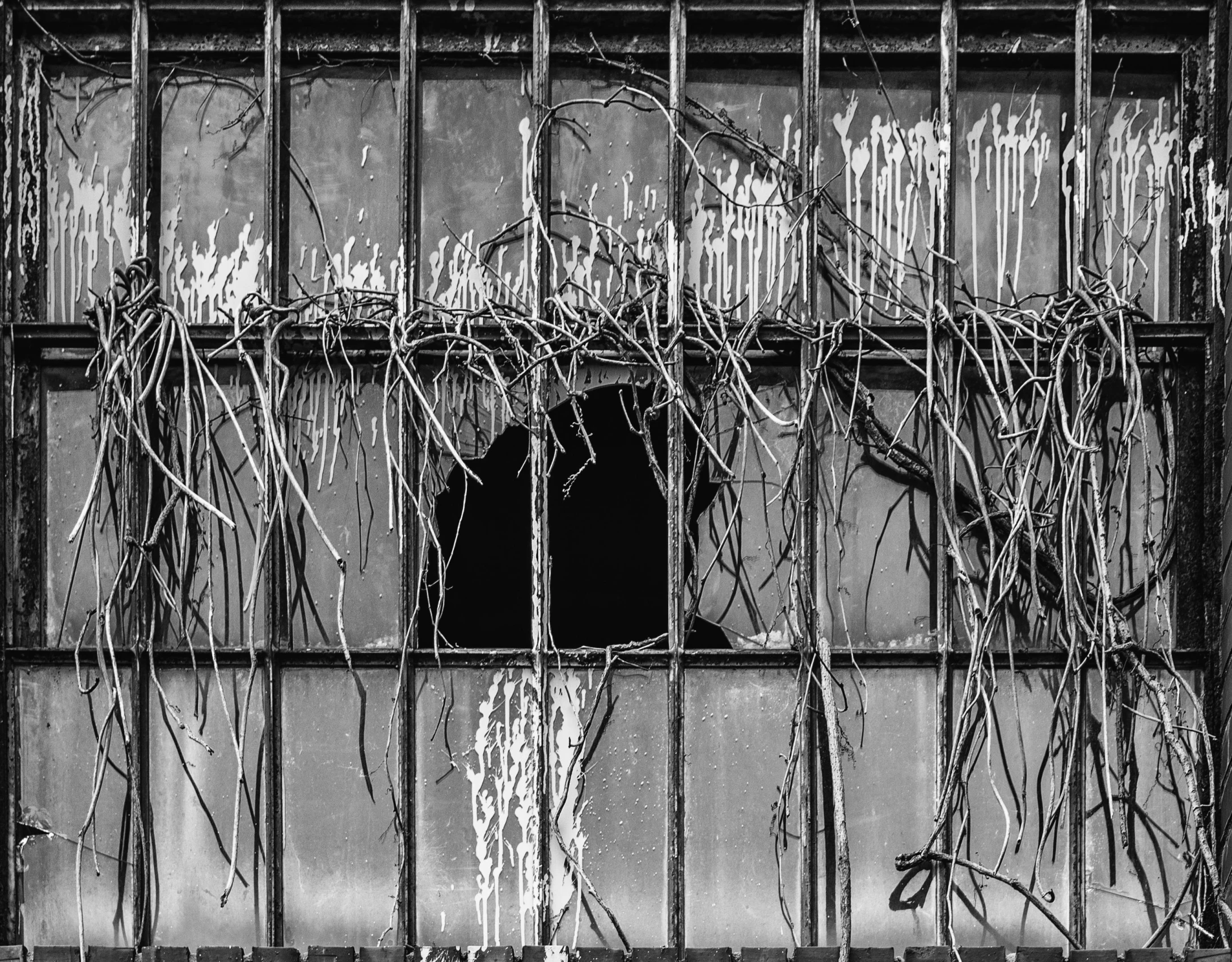 a black and white photo of a broken window, inspired by Siegfried Haas, conceptual art, with a few vines and overgrowth, industrial architecture, hdr detail, made of wire