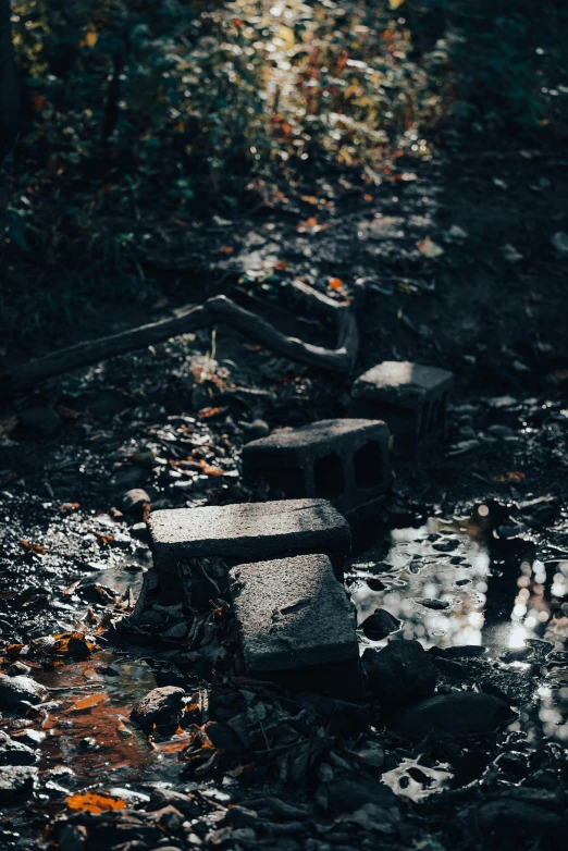 a group of stepping stones sitting in the middle of a forest, inspired by Elsa Bleda, ruins of hell, standing water, brick debris, dark shadowy surroundings