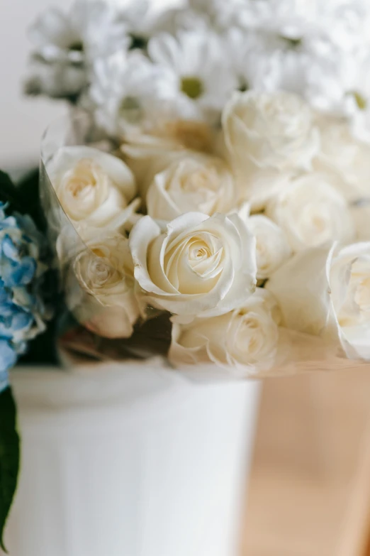 a white vase filled with white and blue flowers, white roses, up close, wrapped in flowers, clean details