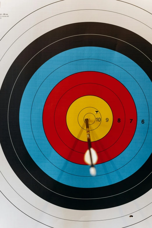 a close up of a target with an arrow in it, pexels contest winner, facial accuracy, top down shot, panel, olympics